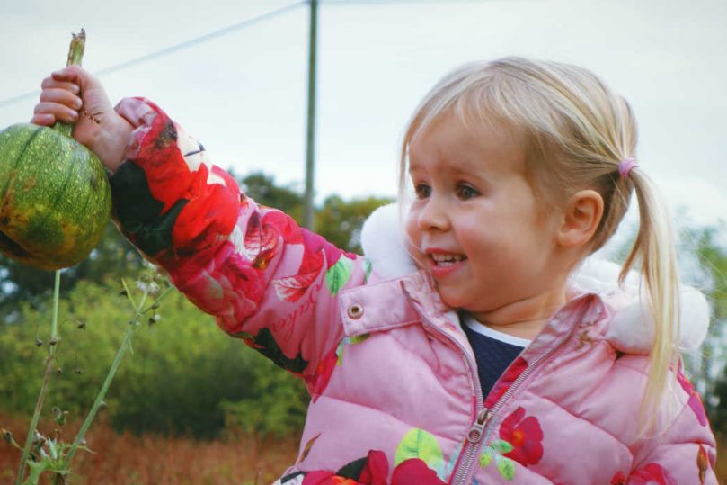 Pumpkin Picking