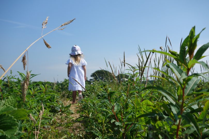 Keeping your little ones safe in the sun