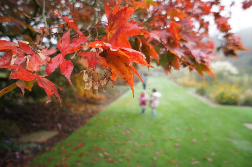 Autumn Bucket List