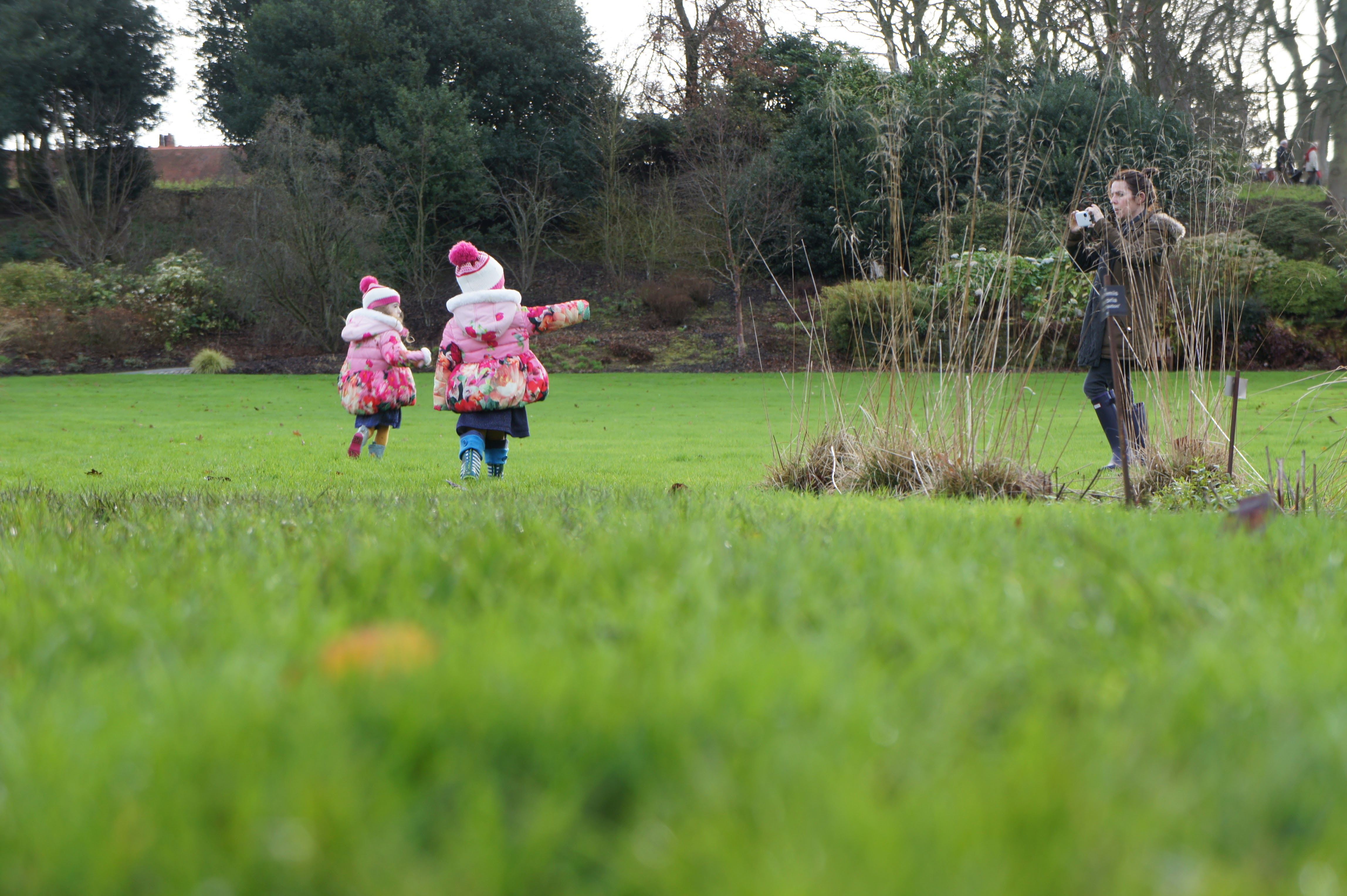 New books, no snow and The Wizard of Oz #Littleloves