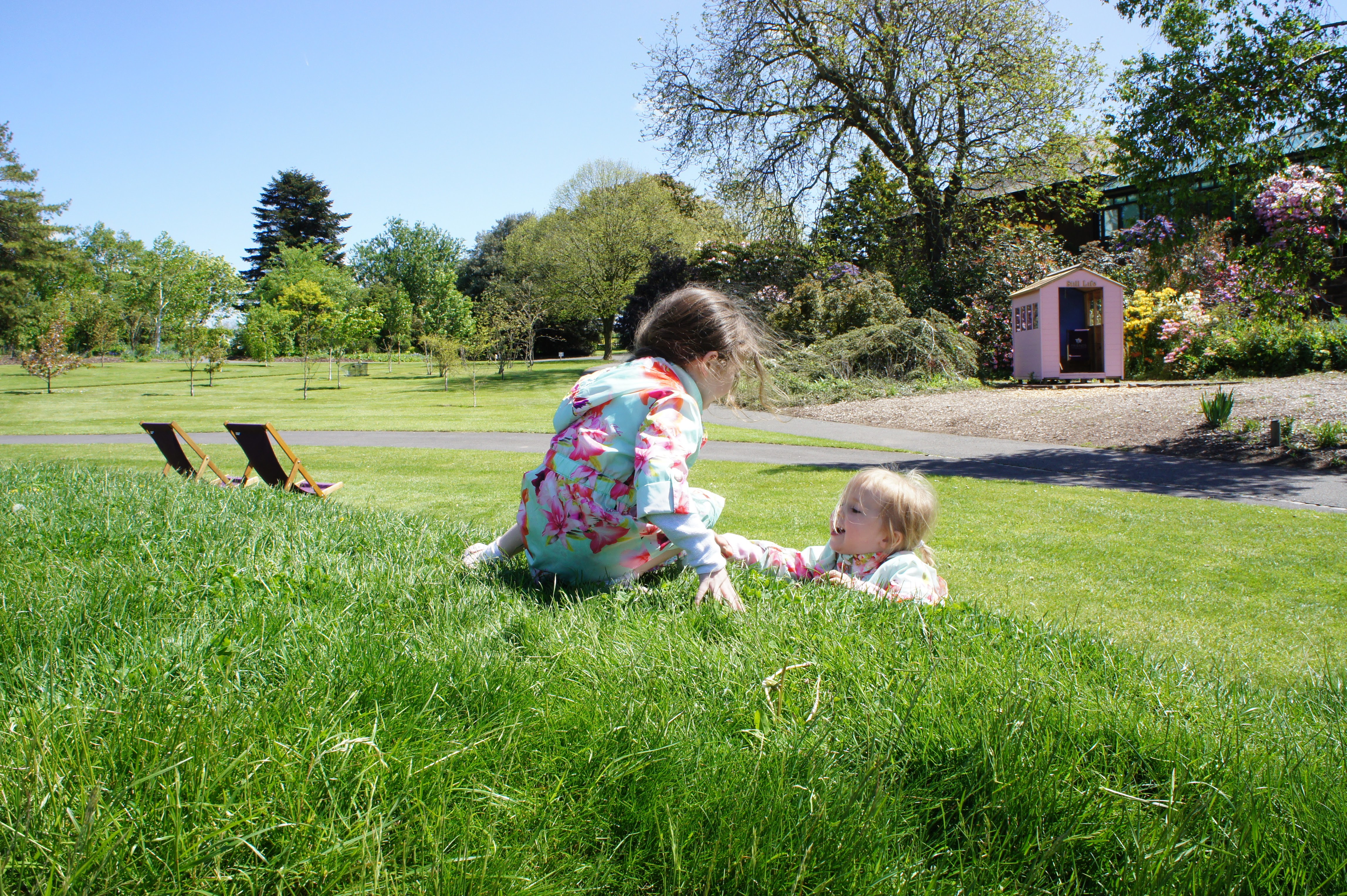 Deacon Blue, sunglasses and busy busy busy #littleloves