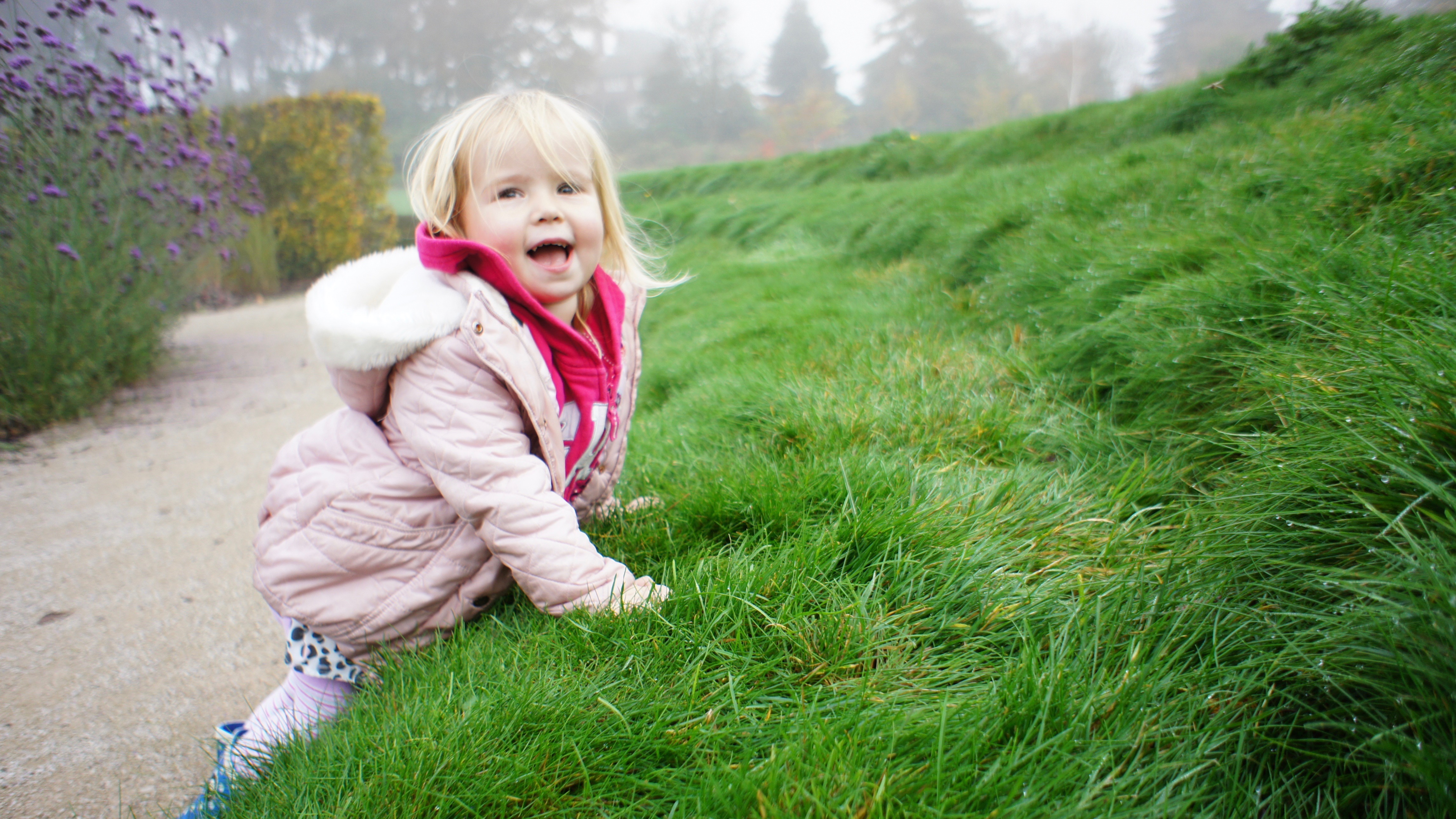 The Good Dinosaur, Reindeer Plant Pots and Merry Christmas #LittleLoves