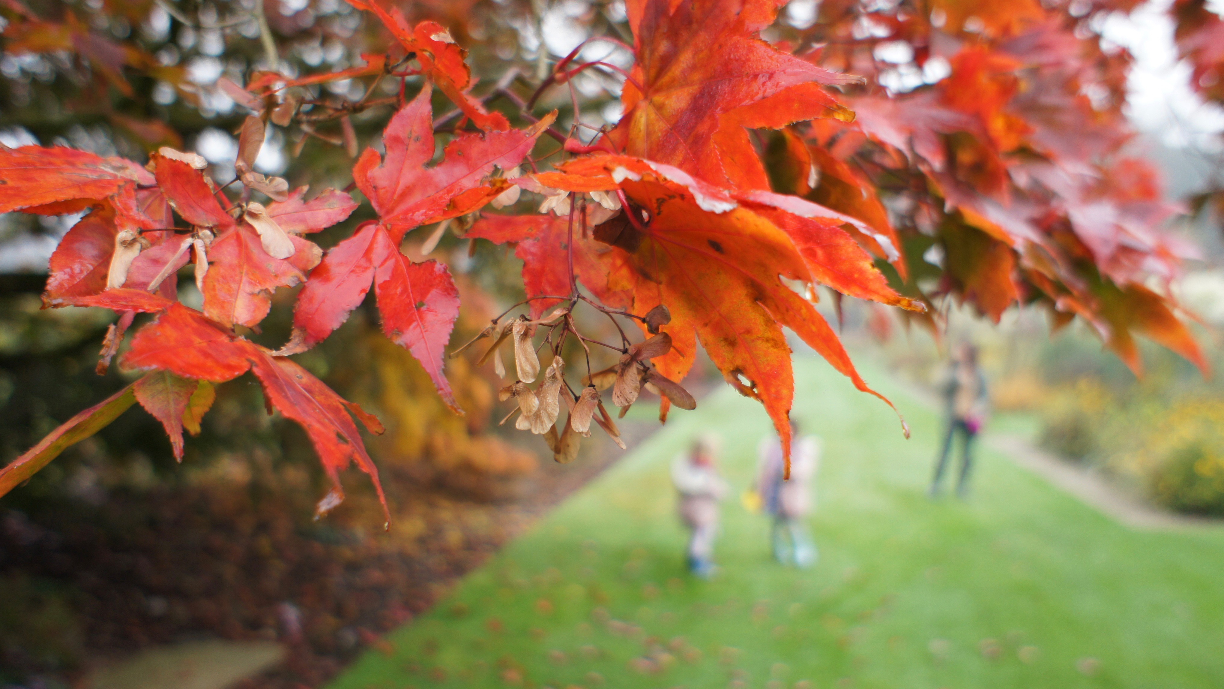 Things I’m loving lately October