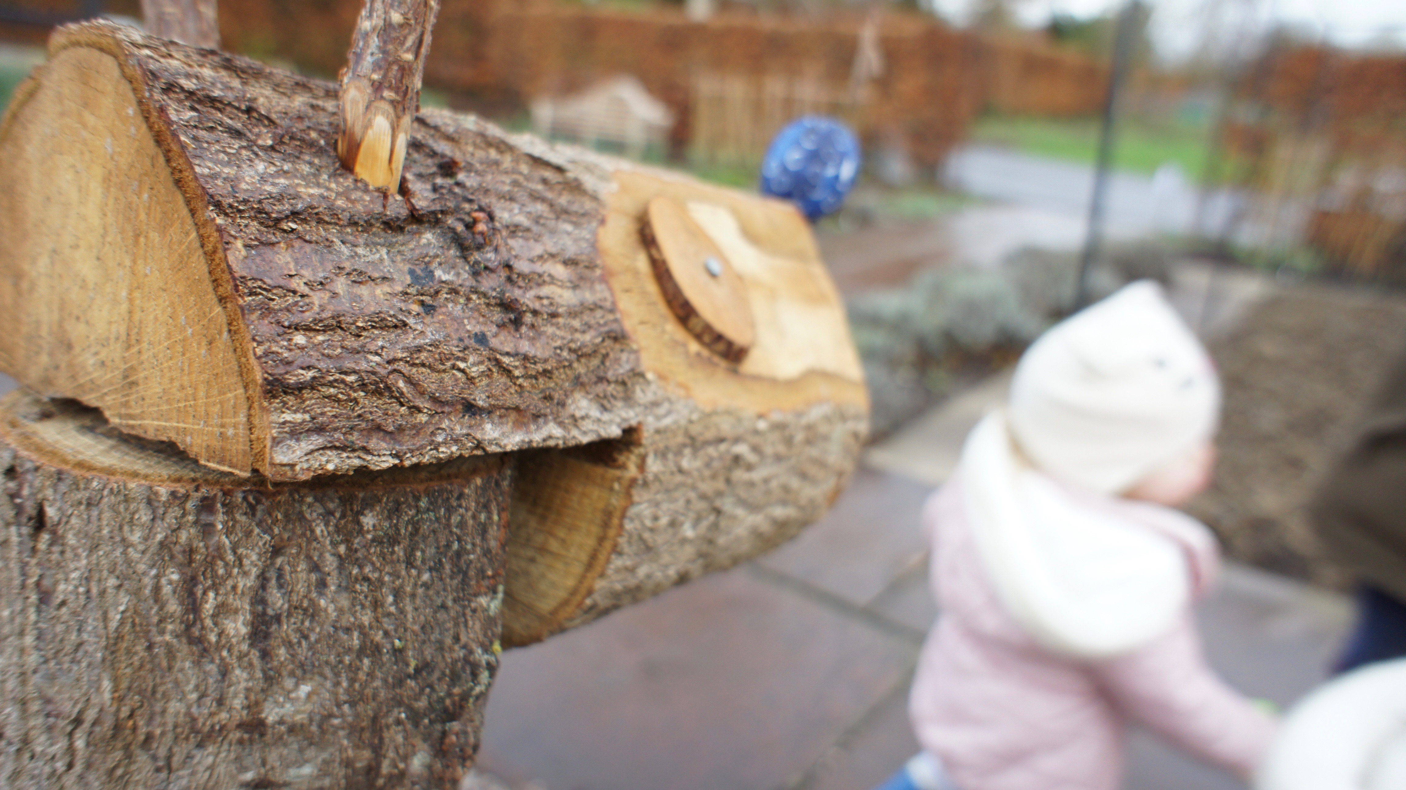 Our Reindeer Trail