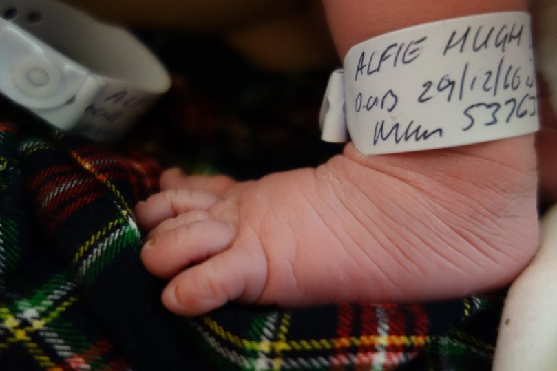 Introducing Alfie Hugh