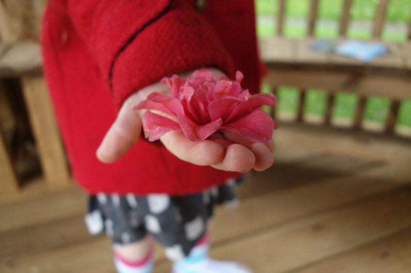 Easter holidays, Meme and planning adventures #littleloves