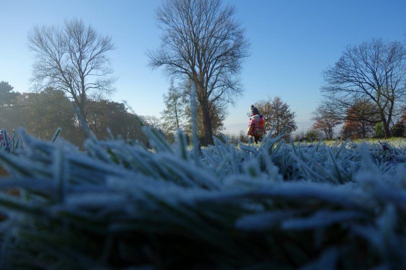 Why a Wet Winter Should Not Hold Back Your Garden’s  Progress