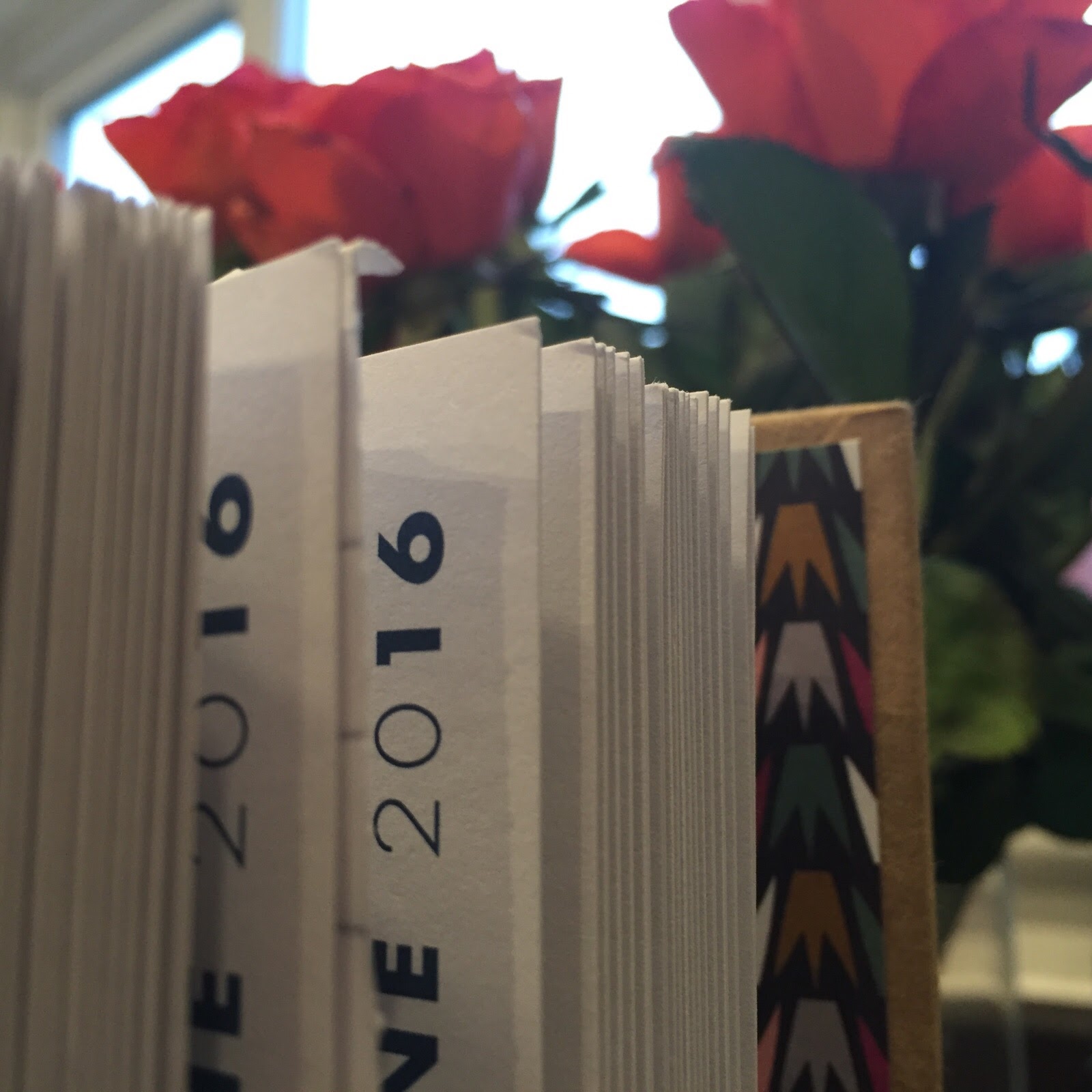 2016 – The Ordinary Moments