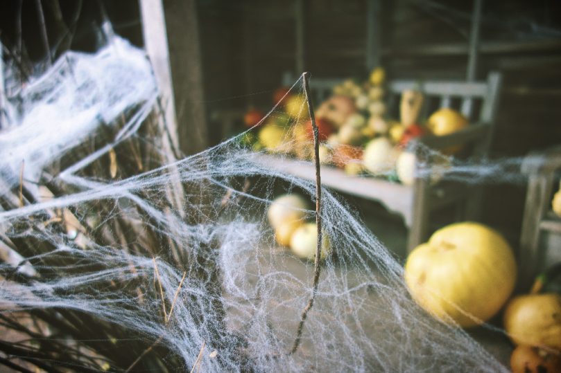 Halloween at Ness Gardens.