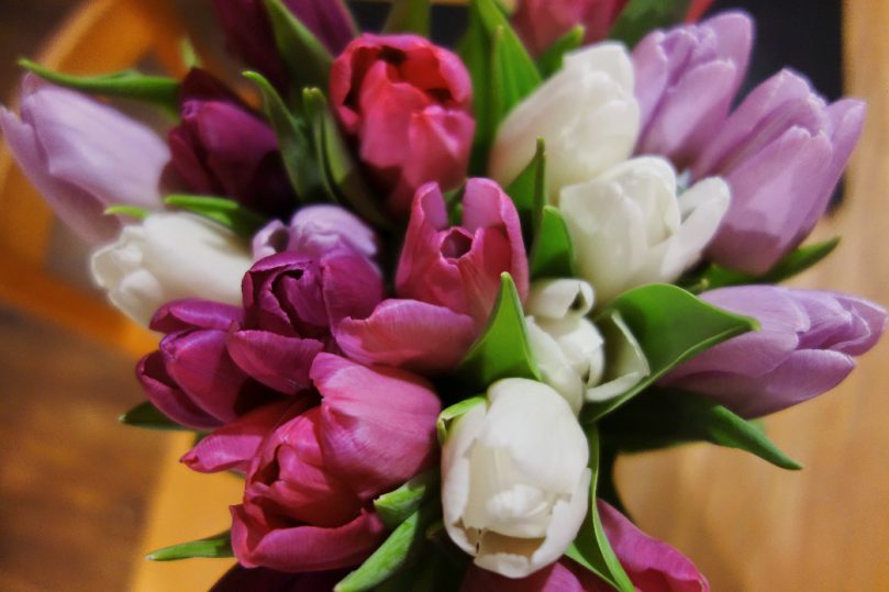 Tulips, Tommee Tippee and Half Term #Littleloves